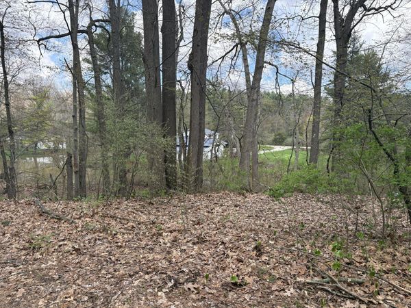 8091 Poplar Drive, Reading, MI 49274