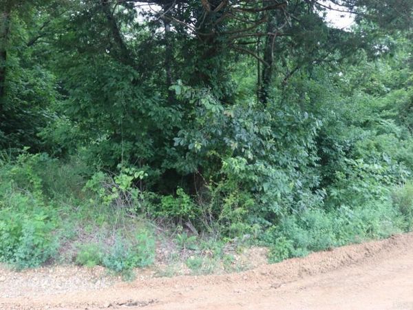00 Wickham Road , Mountain View, AR 72560