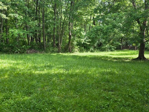 Lot B Fagins Run Road, Pierce Twp, OH 45157