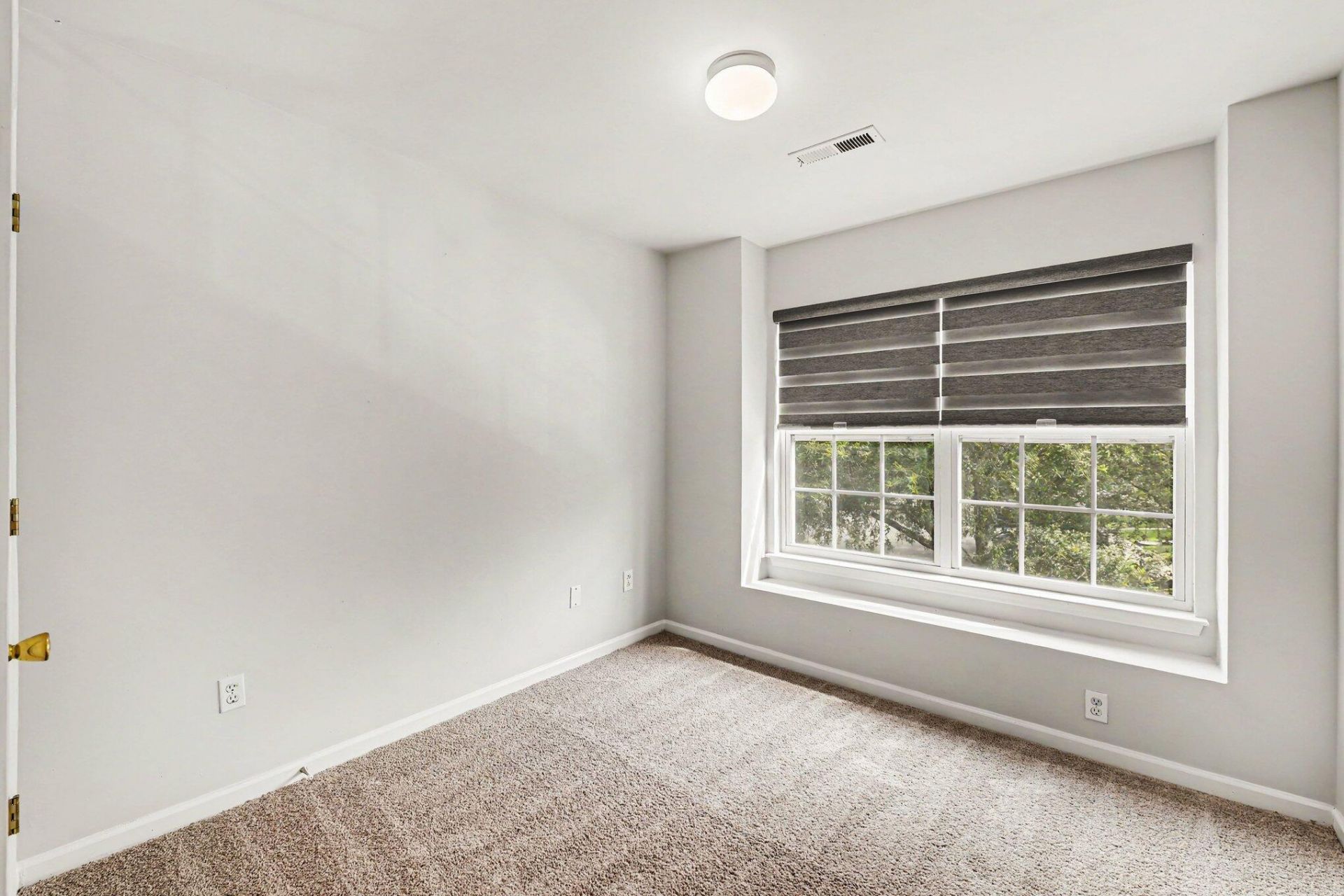446 Doane Way Photo 17