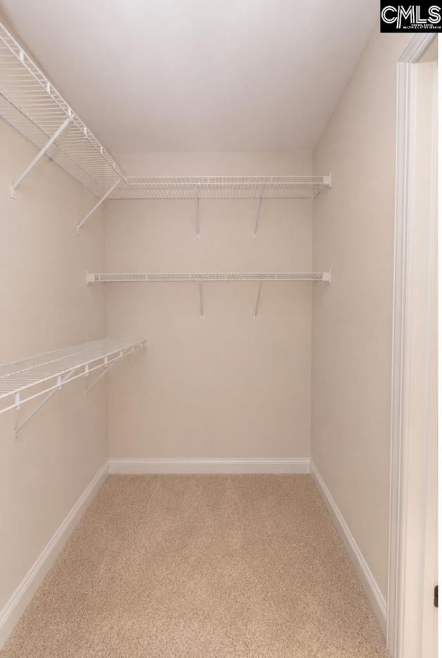 348 Congaree Ridge Court  Photo 73