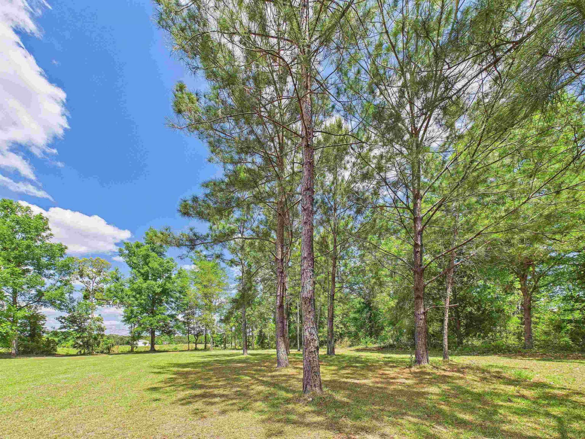 2150 Golf Course Road, Perry, FL 32348 Photo