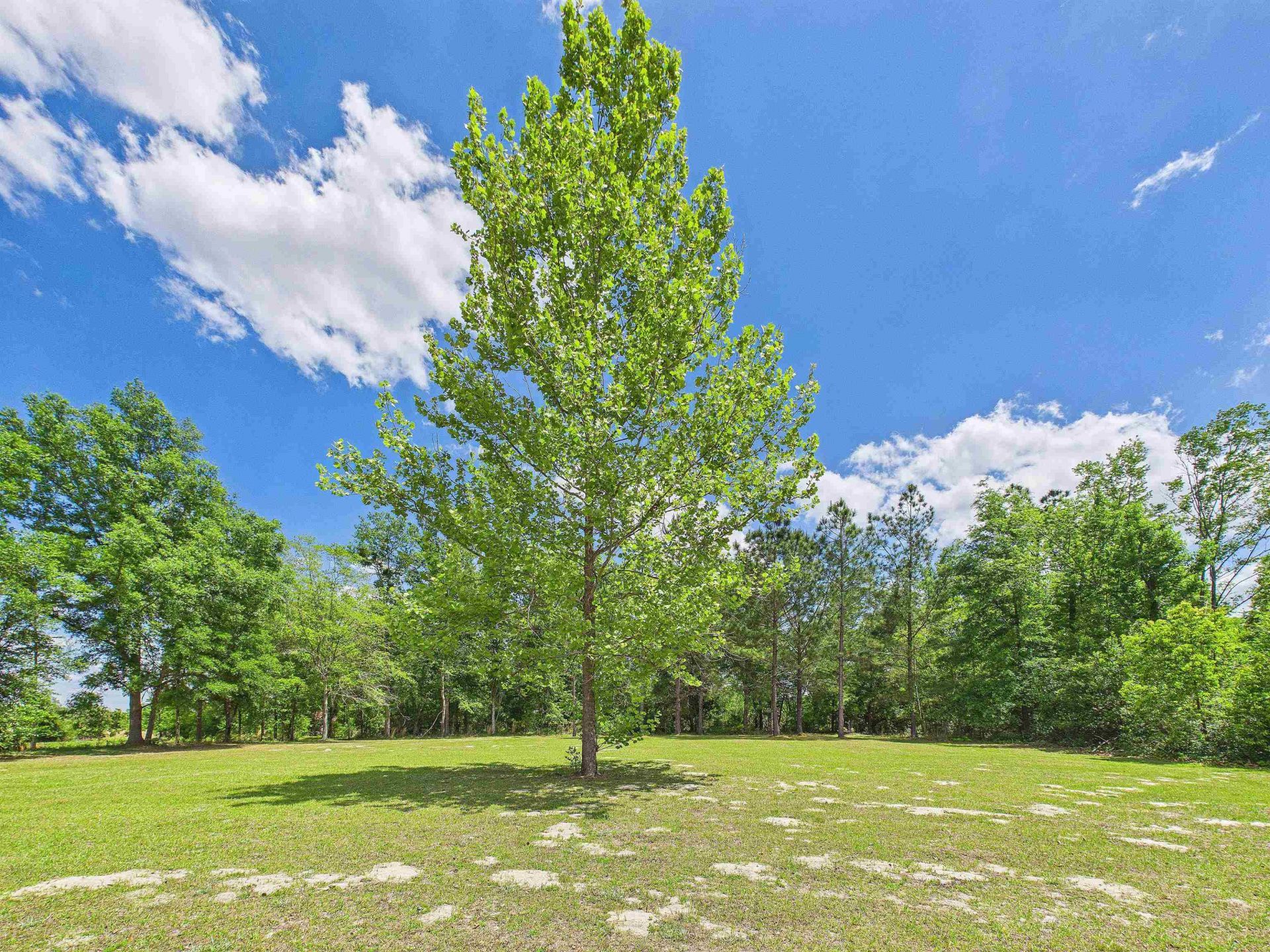 2150 Golf Course Road, Perry, FL 32348 Photo