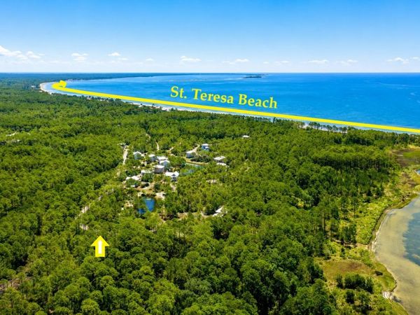 142 Winding Trail Way , St Teresa, FL 32358