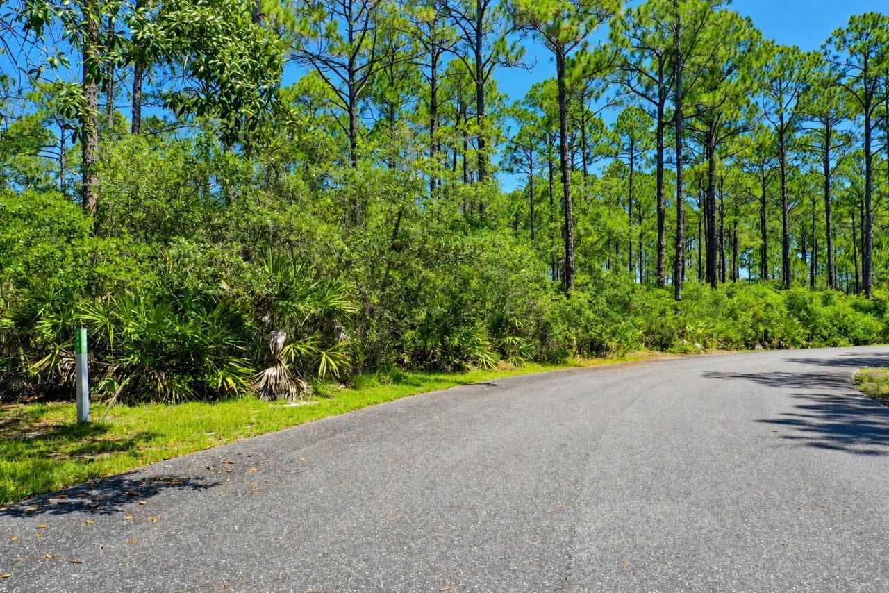 142 Winding Trail Way , Saint Teresa, FL 32358 Photo
