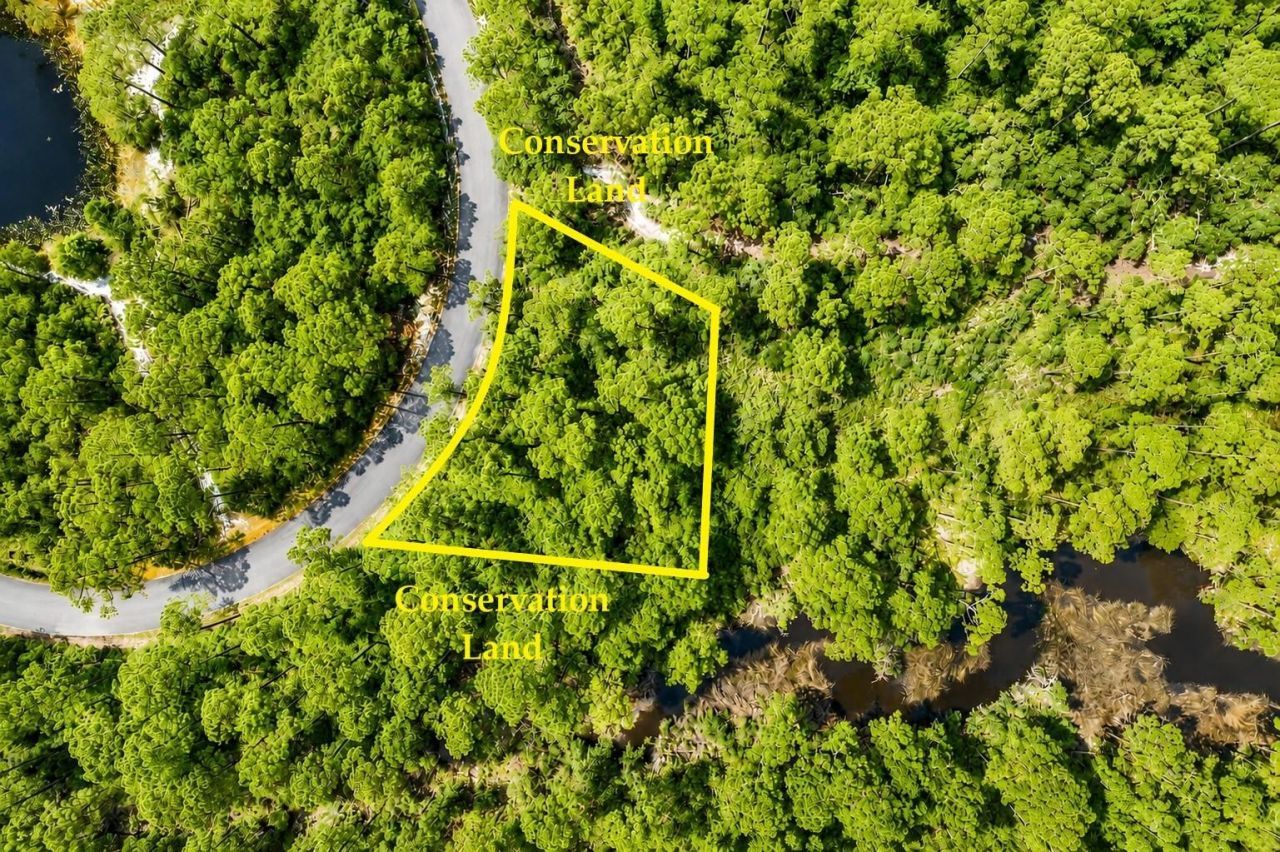 142 Winding Trail Way , Saint Teresa, FL 32358 Photo