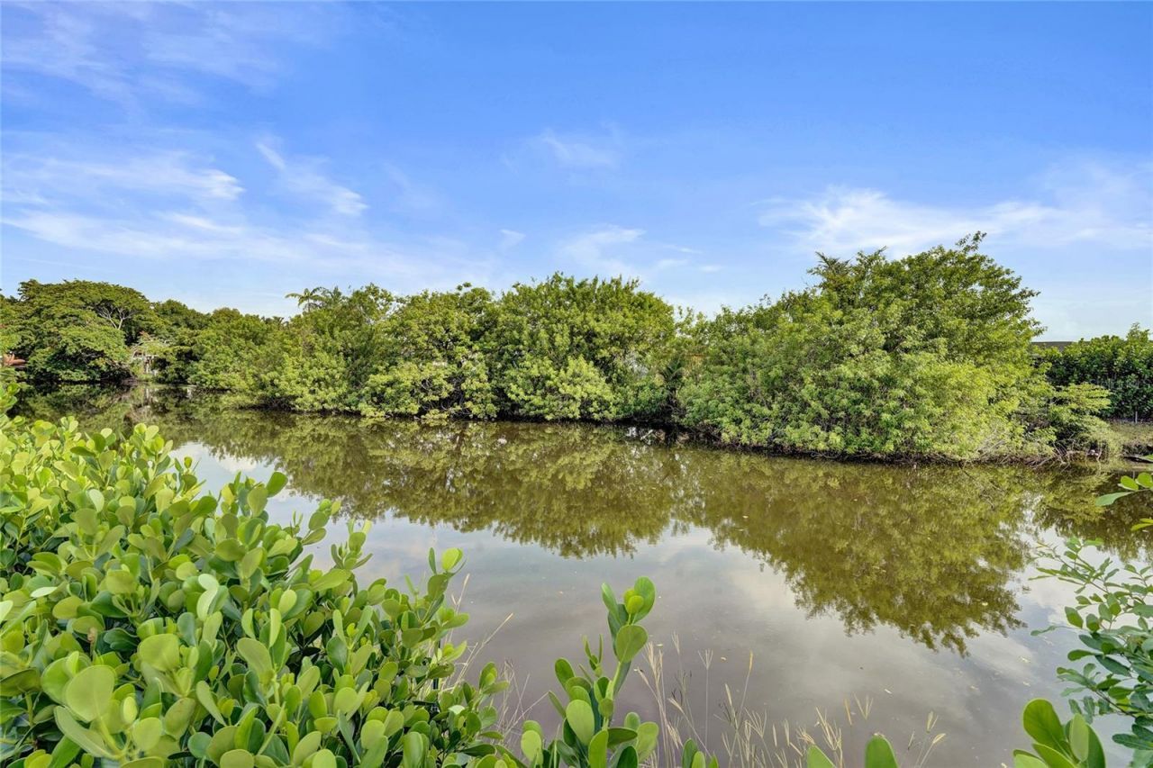 12341 NW 29th Manor, Sunrise, FL 33323 Photo