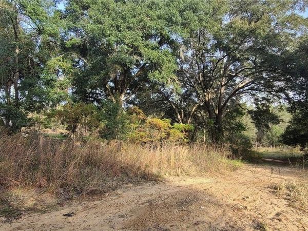 17105 SE 252ND AVENUE , UMATILLA, FL 32784