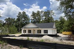 164 Longleaf Drive photo 4