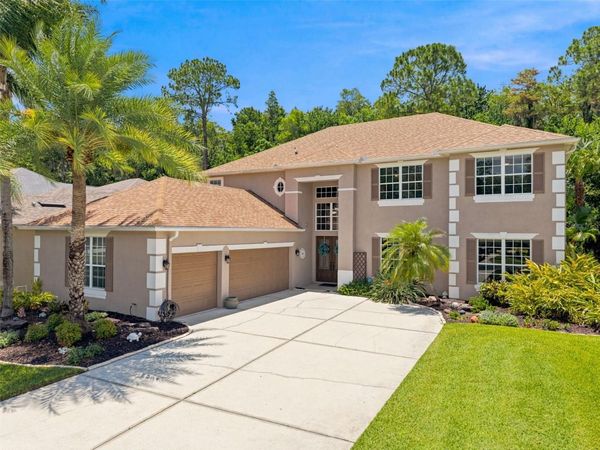 3449 LOGGERHEAD WAY , WESLEY CHAPEL, FL 33544