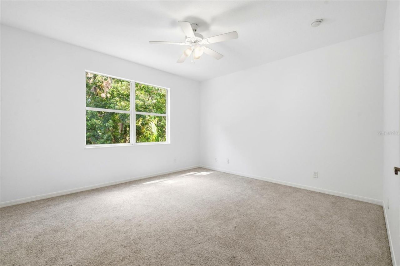 3449 Loggerhead Way, Wesley Chapel, FL 33544 Photo