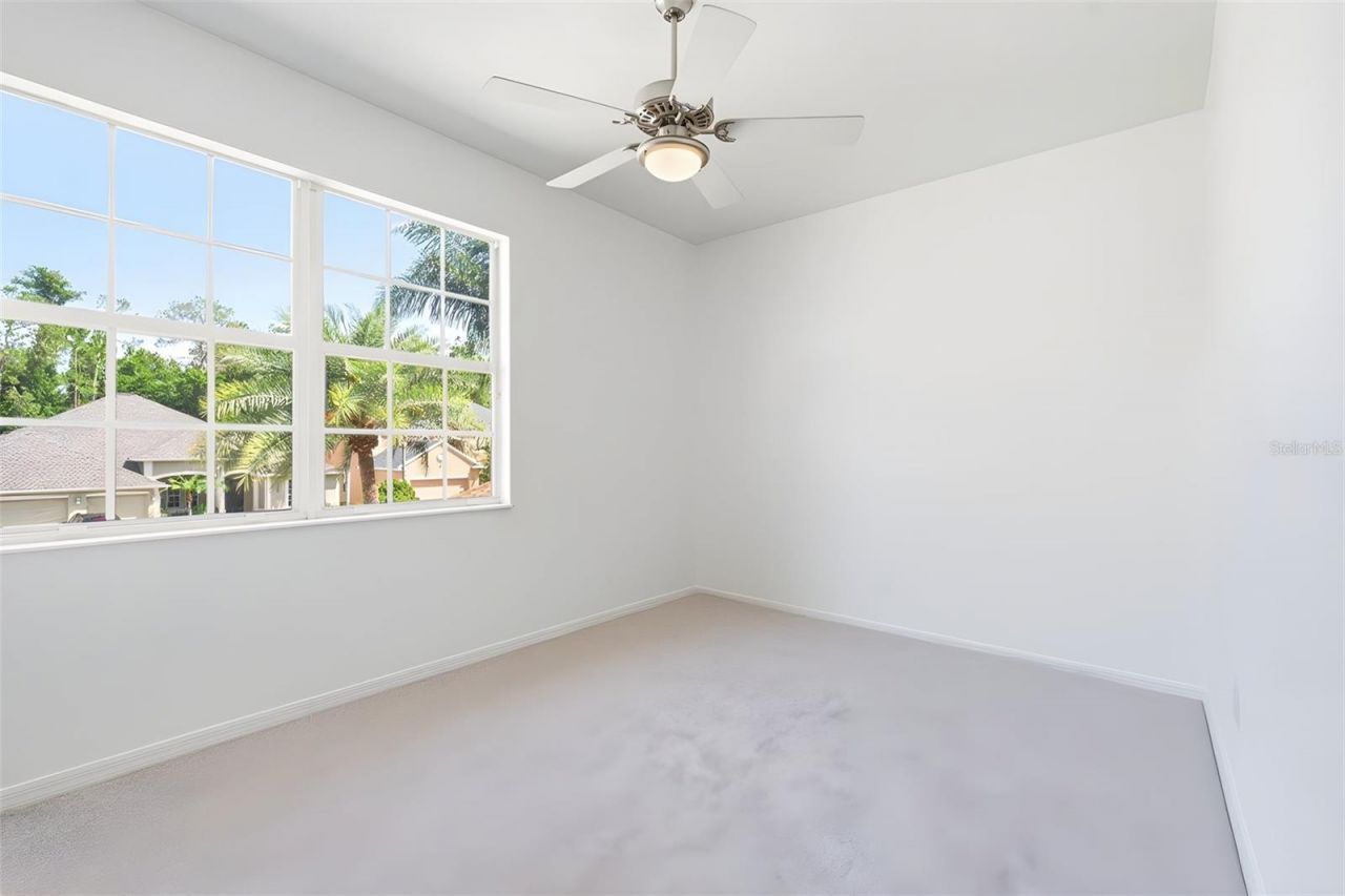 3449 Loggerhead Way, Wesley Chapel, FL 33544 Photo