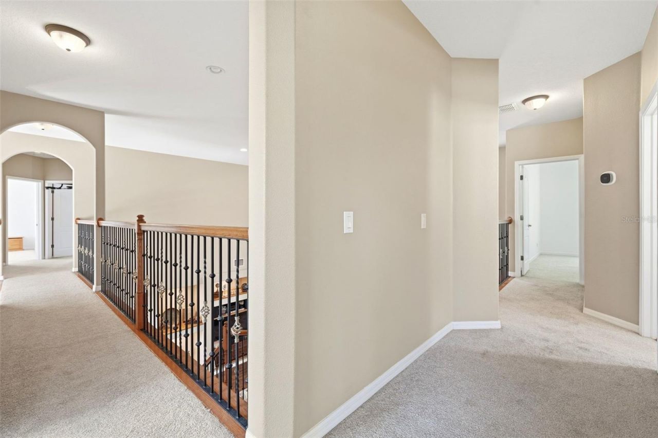 3449 Loggerhead Way, Wesley Chapel, FL 33544 Photo