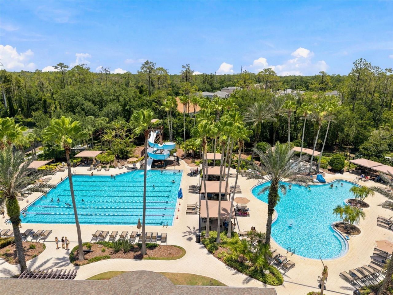 3449 Loggerhead Way, Wesley Chapel, FL 33544 Photo