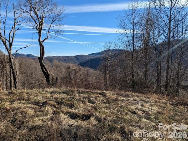 117 Ironwood Lane , Black Mountain, NC 28711