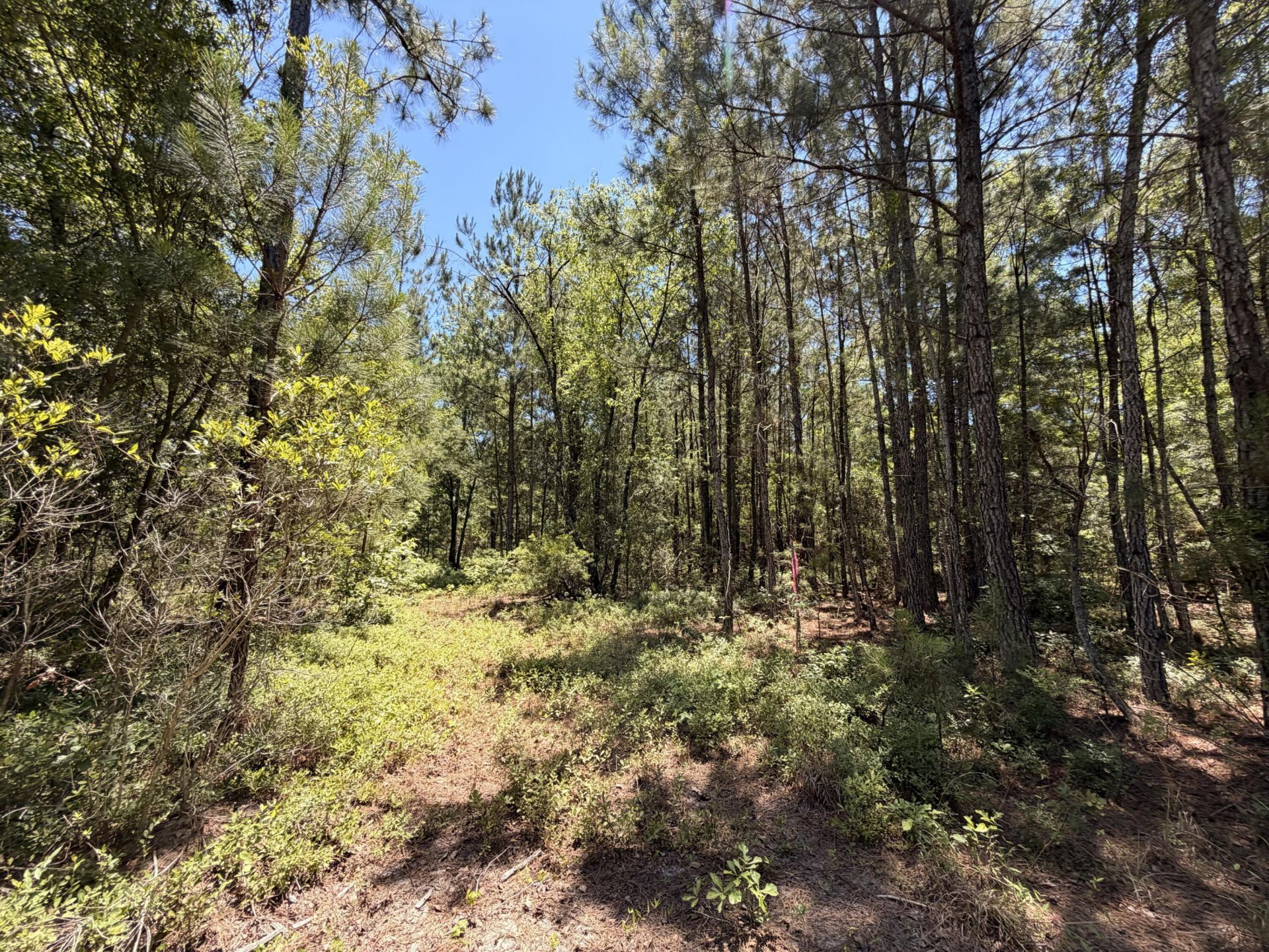 0 Tumbleweed Rd Photo 9