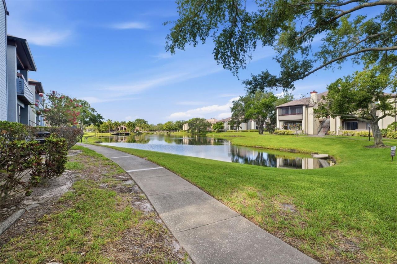 10263 Gandy Boulevard N, Unit 408, Saint Petersburg, FL 33702 Photo