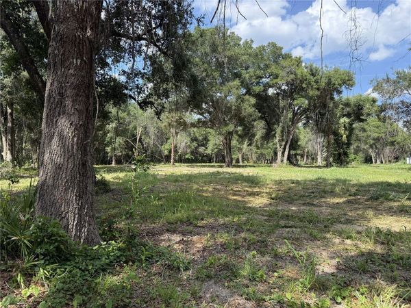 620 COCHRAN ROAD , GENEVA, FL 32732
