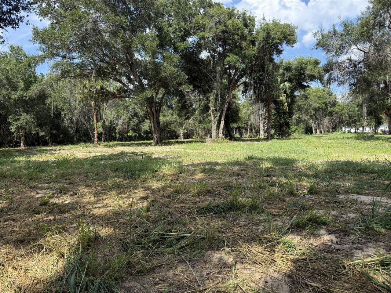 620 Cochran Road , Geneva, FL 32732 Photo