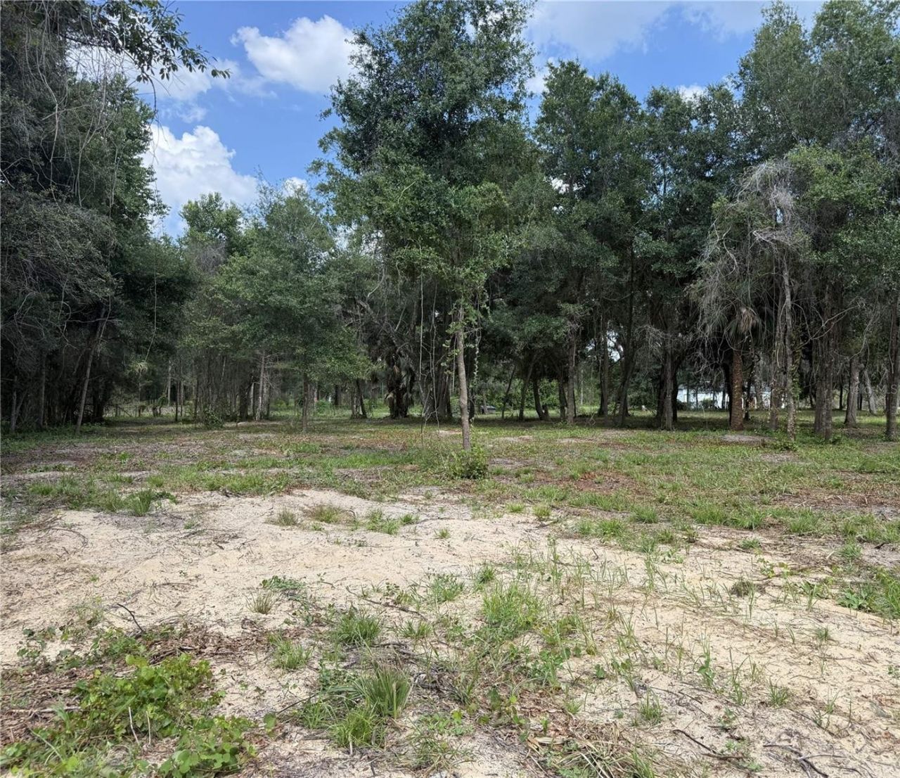 620 Cochran Road , Geneva, FL 32732 Photo