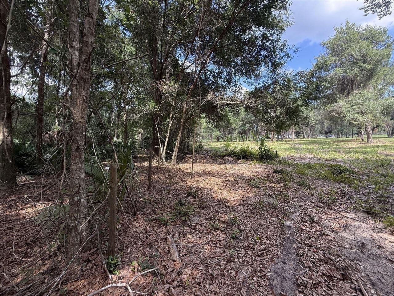 620 Cochran Road , Geneva, FL 32732 Photo