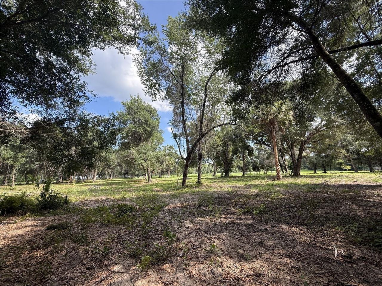 620 Cochran Road , Geneva, FL 32732 Photo