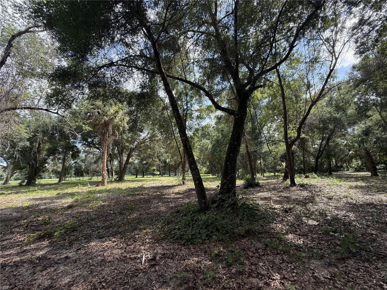 620 Cochran Road , Geneva, FL 32732 Photo