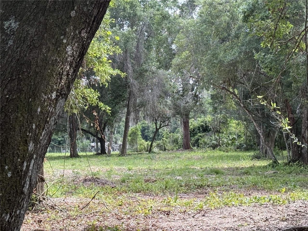 620 Cochran Road , Geneva, FL 32732 Photo
