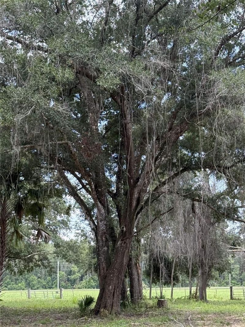 620 Cochran Road , Geneva, FL 32732 Photo