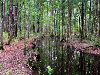 2150 Hughes Drive, Cottageville, SC 29435