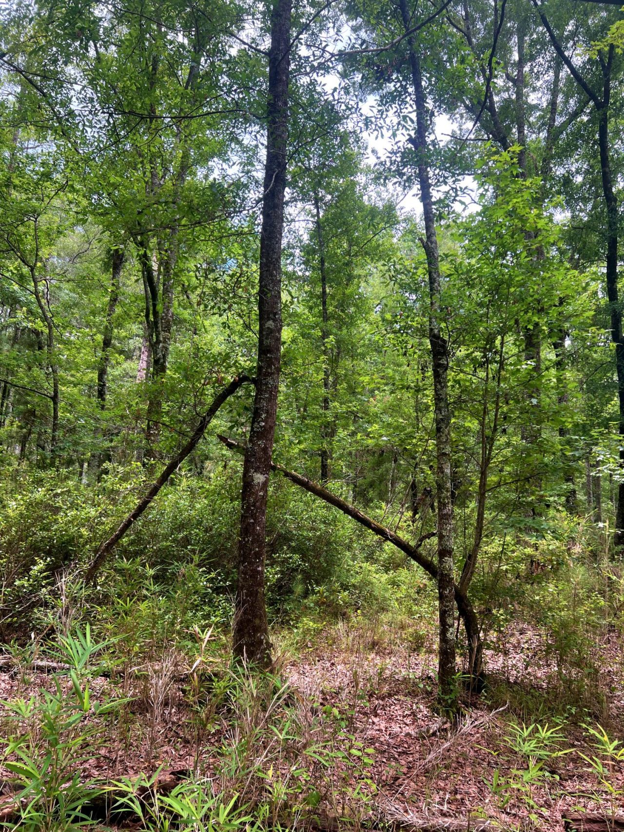 2150 Hughes Drive Photo 13