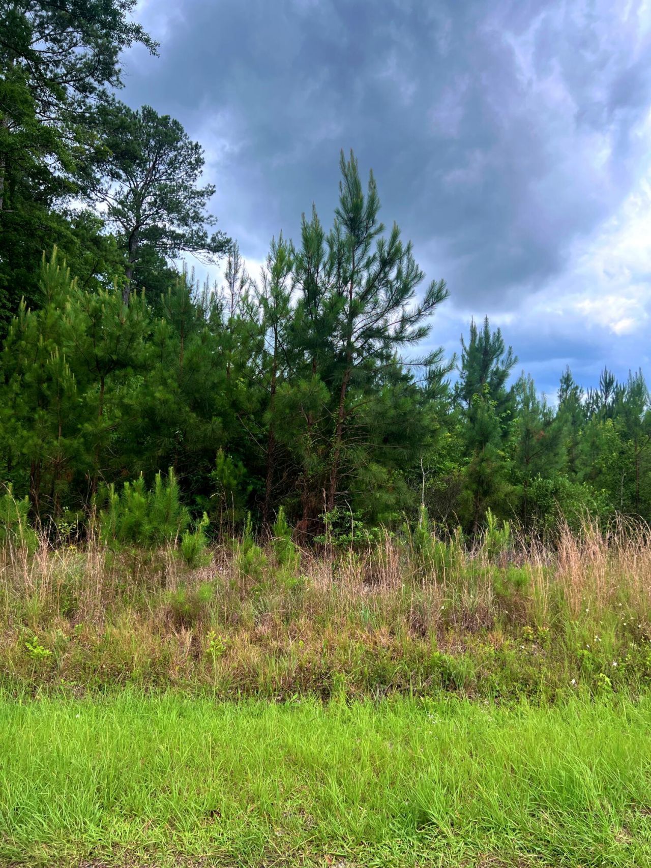 2150 Hughes Drive Photo 4
