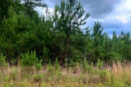 2150 Hughes Drive photo 4