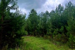 2150 Hughes Drive photo 4