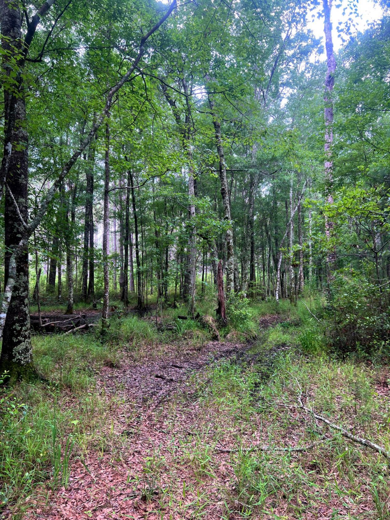 2150 Hughes Drive Photo 8