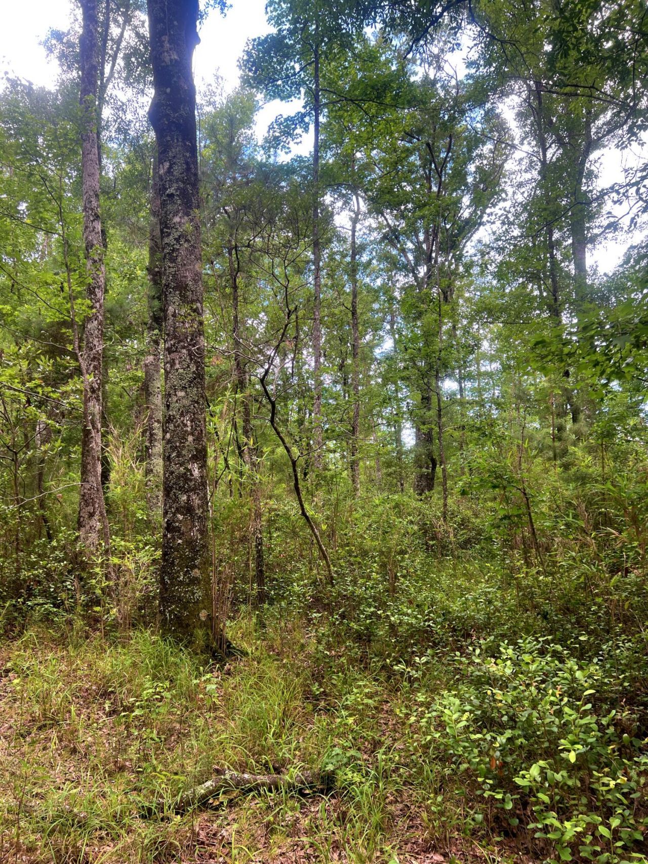 2150 Hughes Drive Photo 9