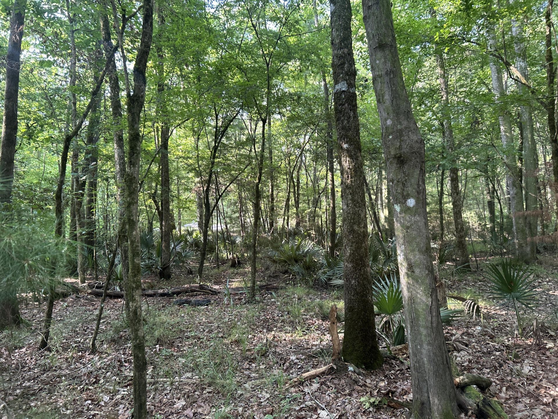0 Swamp Fox Drive Photo 17