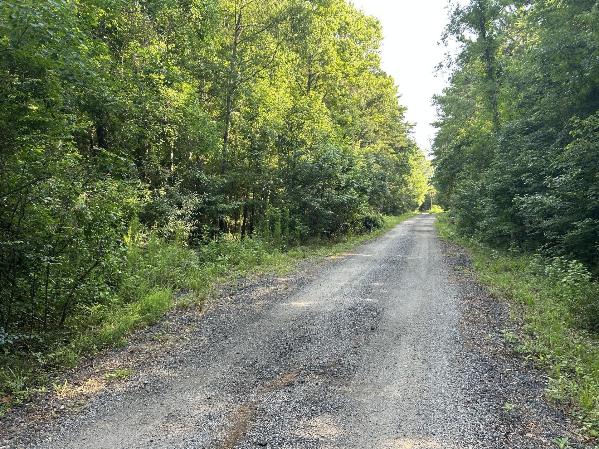 0 Swamp Fox Drive Photo 27