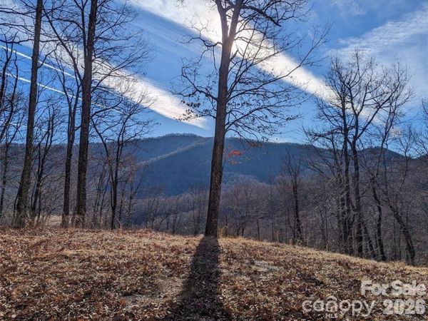 367 Kestrel Lane , Black Mountain, NC 28711