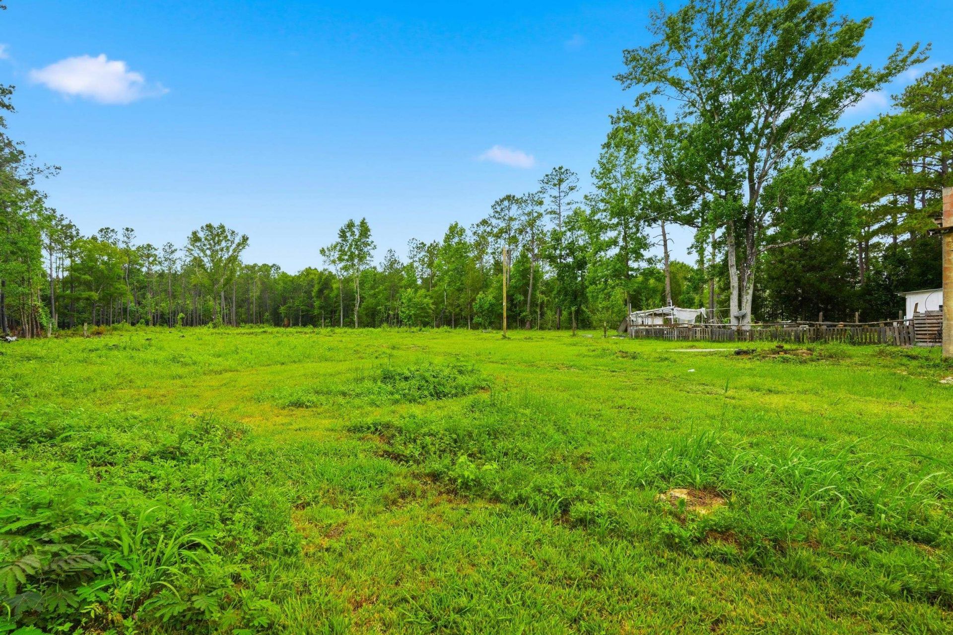 39 Old Cemetary Rd.  Photo 21
