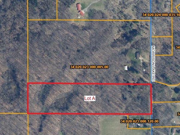 6286 Morrison Lake Road, Unit Lot A, Saranac, MI 48881