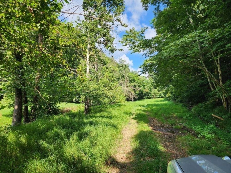 Property Image 35