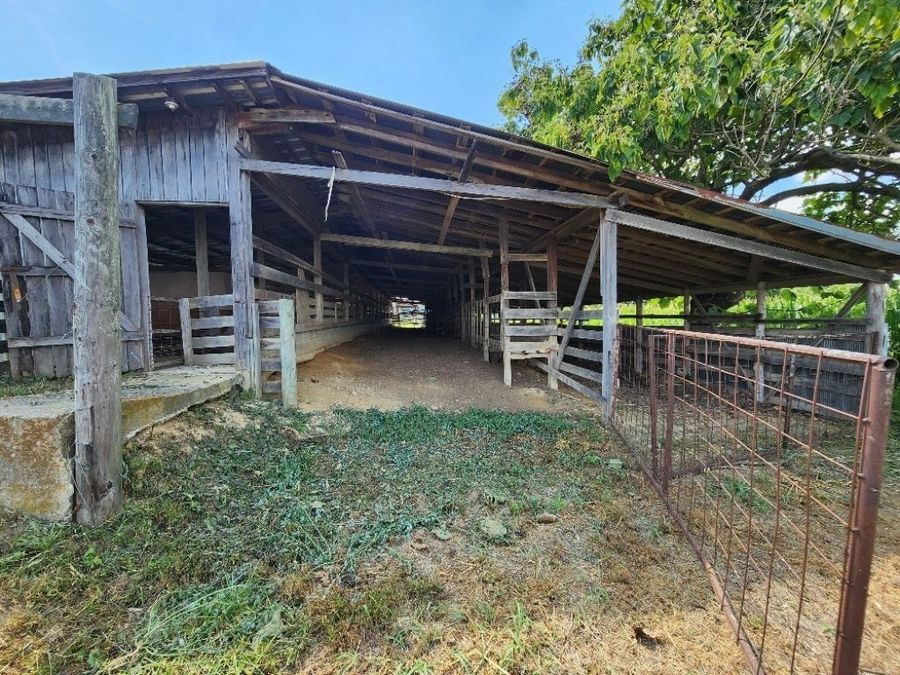 Property Image 47
