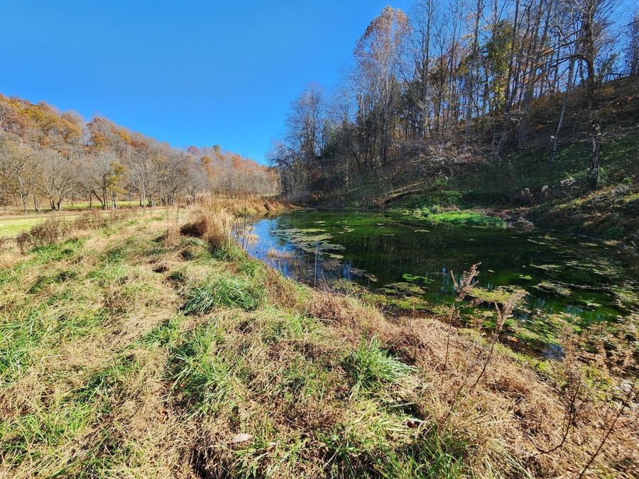 Property Image 64