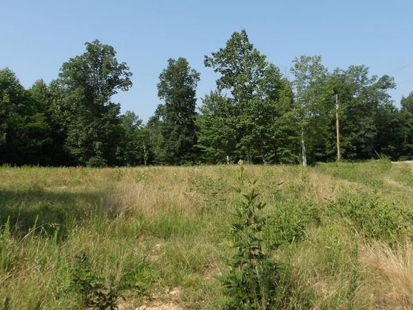 13.87ac Pleasant Cemetery Lane, Gainesboro, TN 38562