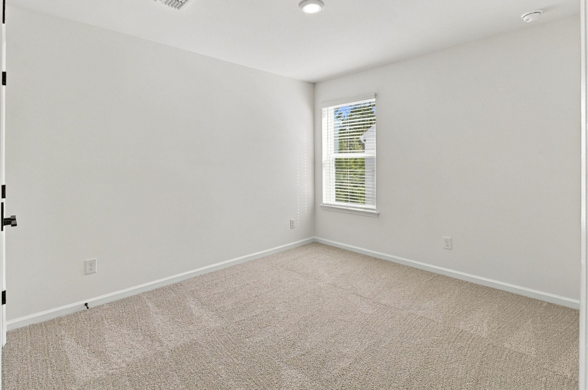 442 White Magnolia Street Photo 22