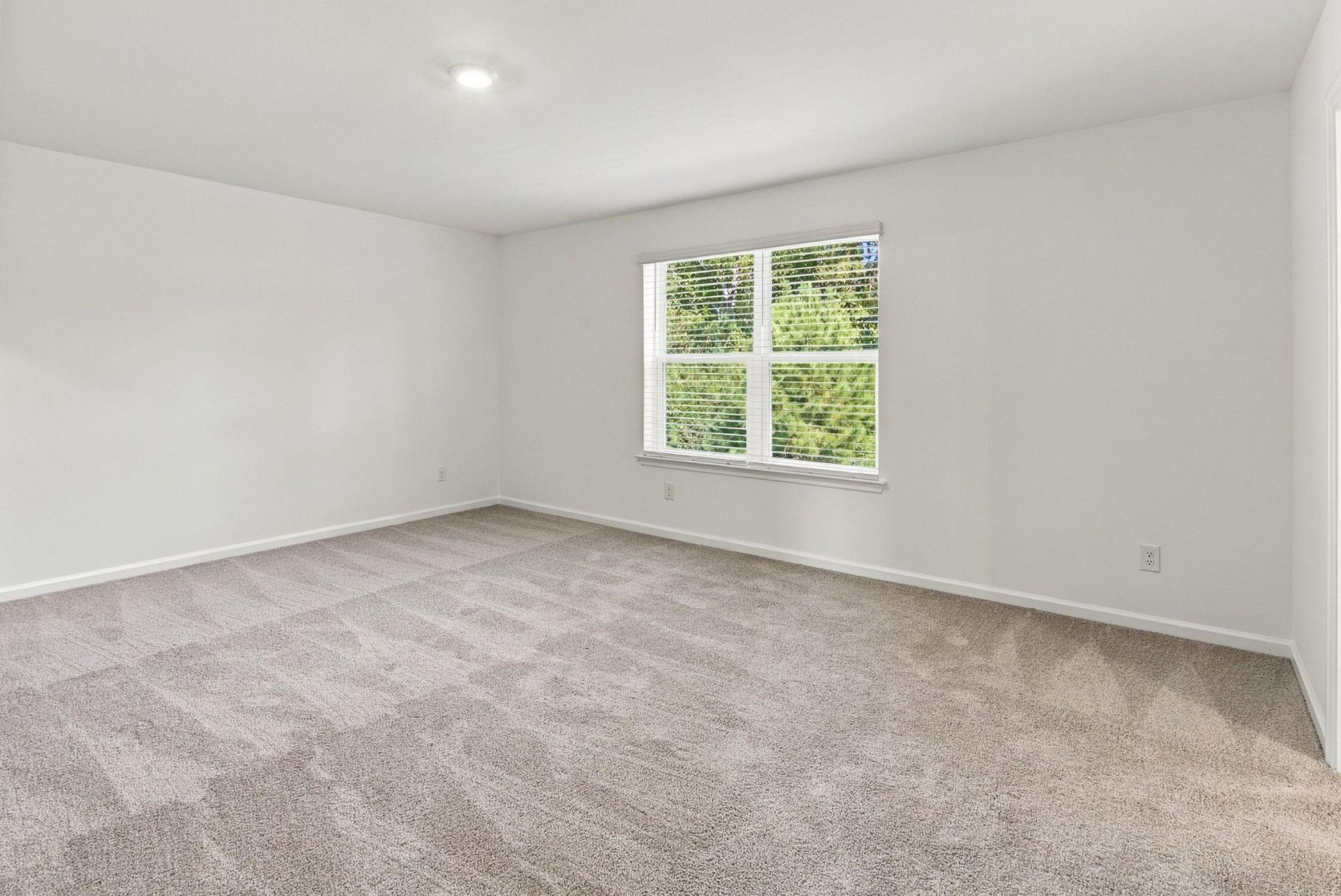 442 White Magnolia Street Photo 33