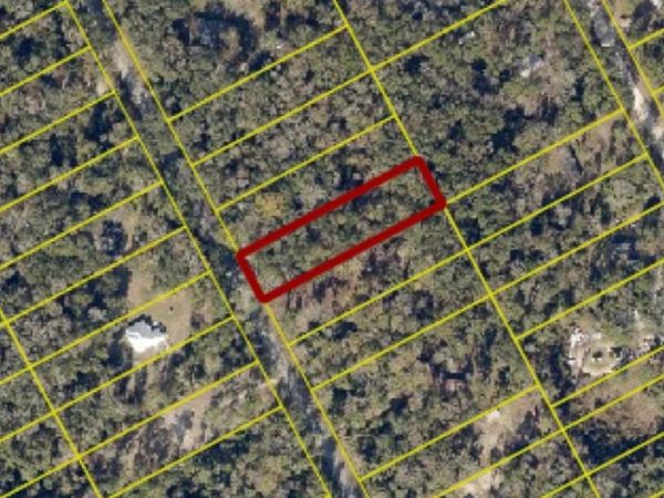 1531 NE NEWARK, Fort White, FL 32038