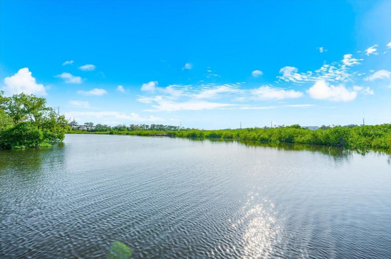 1462 N Jasmine Avenue, Tarpon Springs, FL 34689 Photo