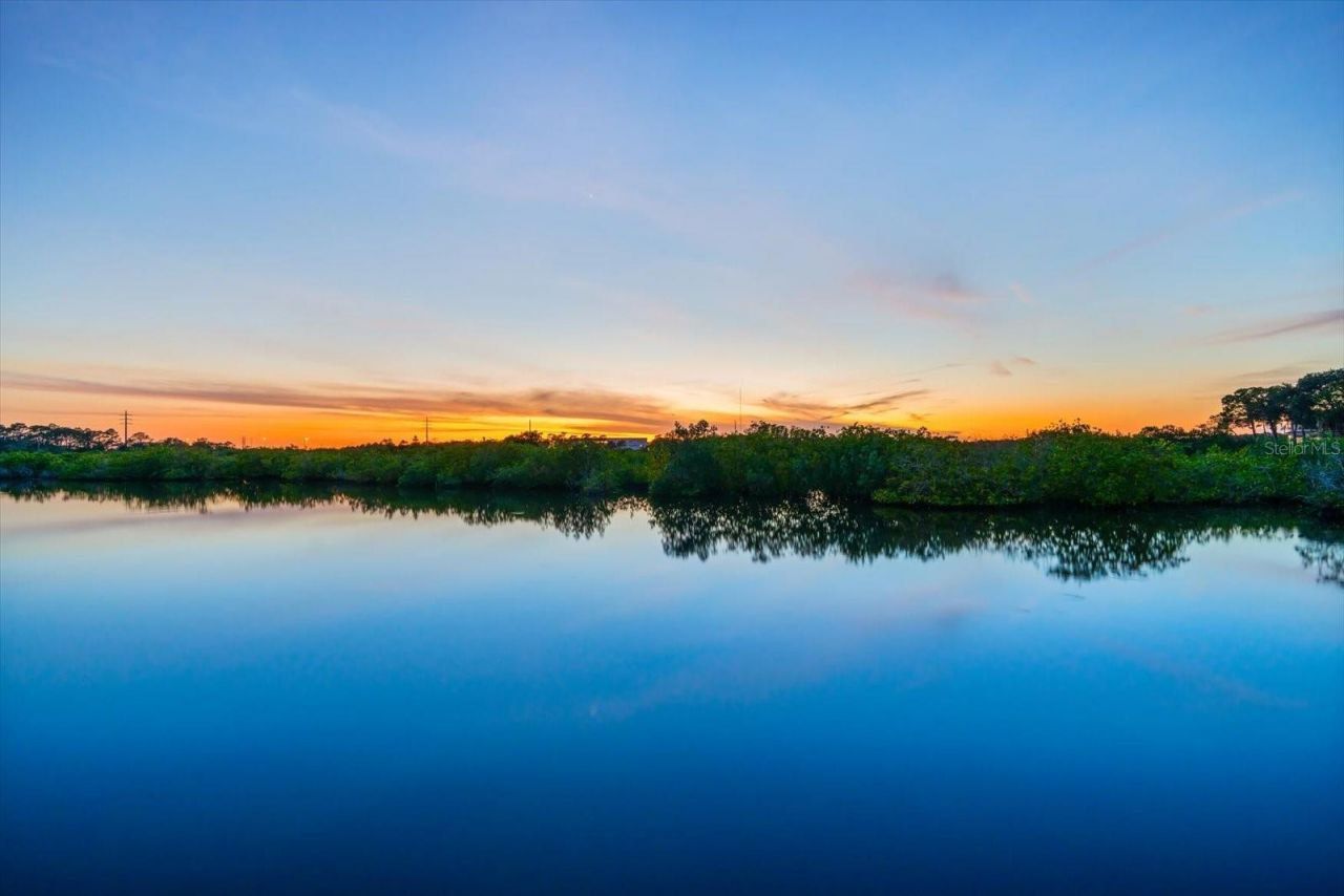 1462 N Jasmine Avenue, Tarpon Springs, FL 34689 Photo